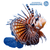 Lionfish & Stonefish