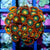 Zoanthid