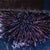 Sea Urchins