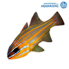 Orange-Lined Cardinalfish (Ostorhinchus properuptus)