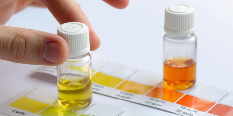 Do You Need to Dose Alkalinity, Calcium & Magnesium? - Aquamarine Aquaristic