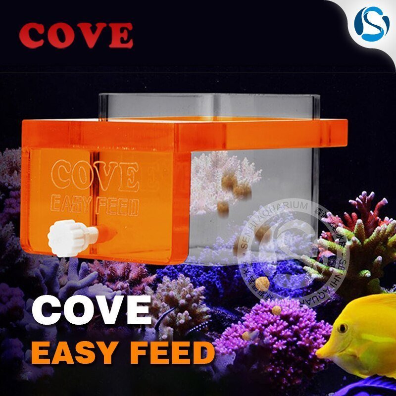 Feeding Your Marine Fish 🐠 – Building a Healthy Reef Fish Diet - Aquamarine Aquaristic