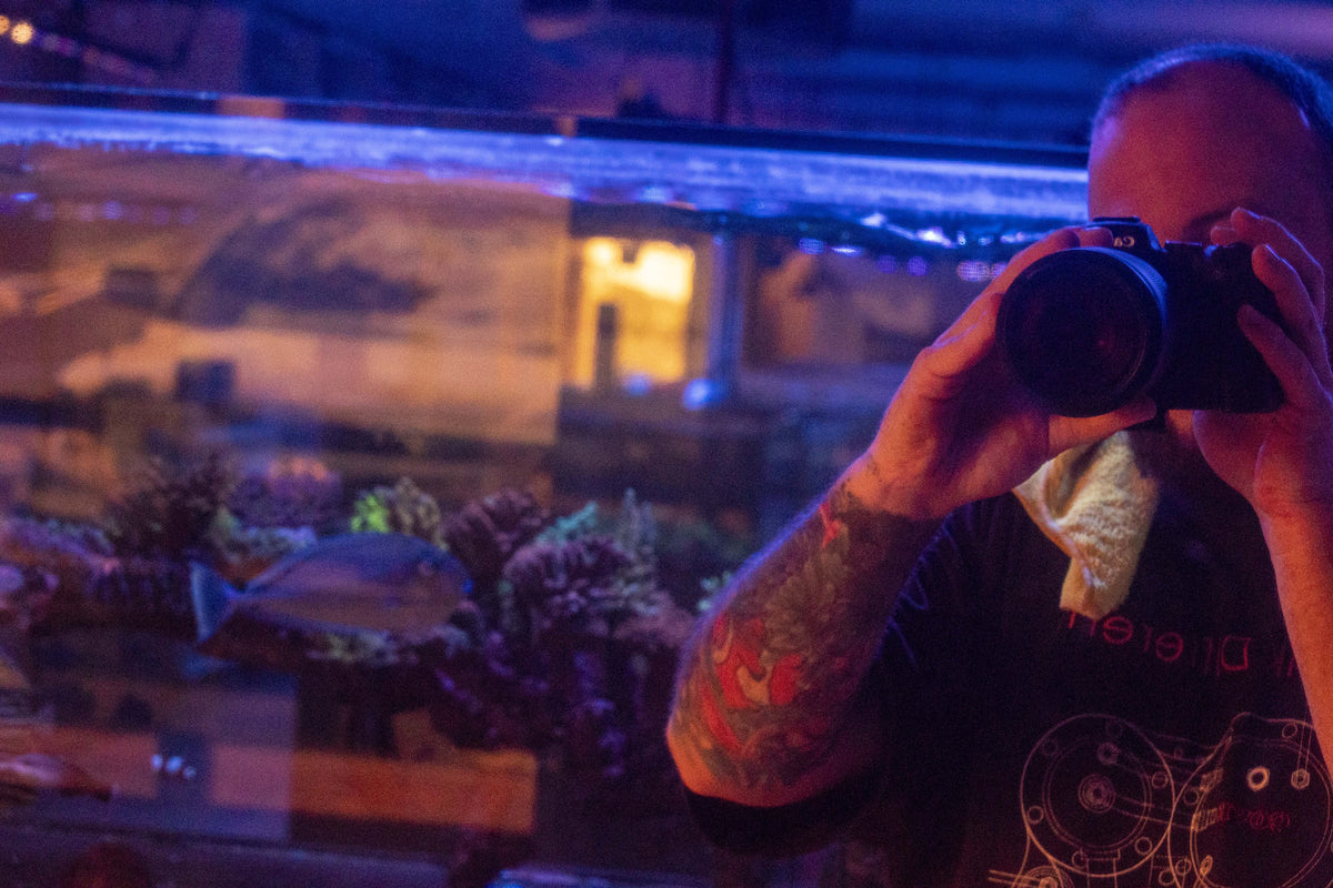 The Art Behind Our Photography - Aquamarine Aquaristic - Aquamarine Aquaristic