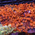 Anemones