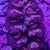 Clams