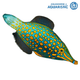 Filefish