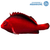 Hawkfish