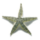 Starfish