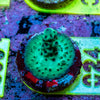 AMA SPS Frag 024