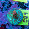 AMA SPS Frag 091