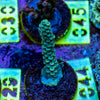 AMA SPS Frag 044