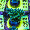 AMA SPS Frag 062