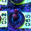 AMA SPS Frag 065