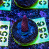 AMA SPS Frag 066