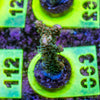 AMA SPS Frag 063 'Valencia'