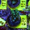 AMA SPS Frag 159