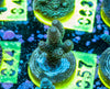 AMA SPS Frag 057