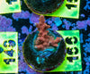 AMA SPS Frag 166 'Scorched Earth'