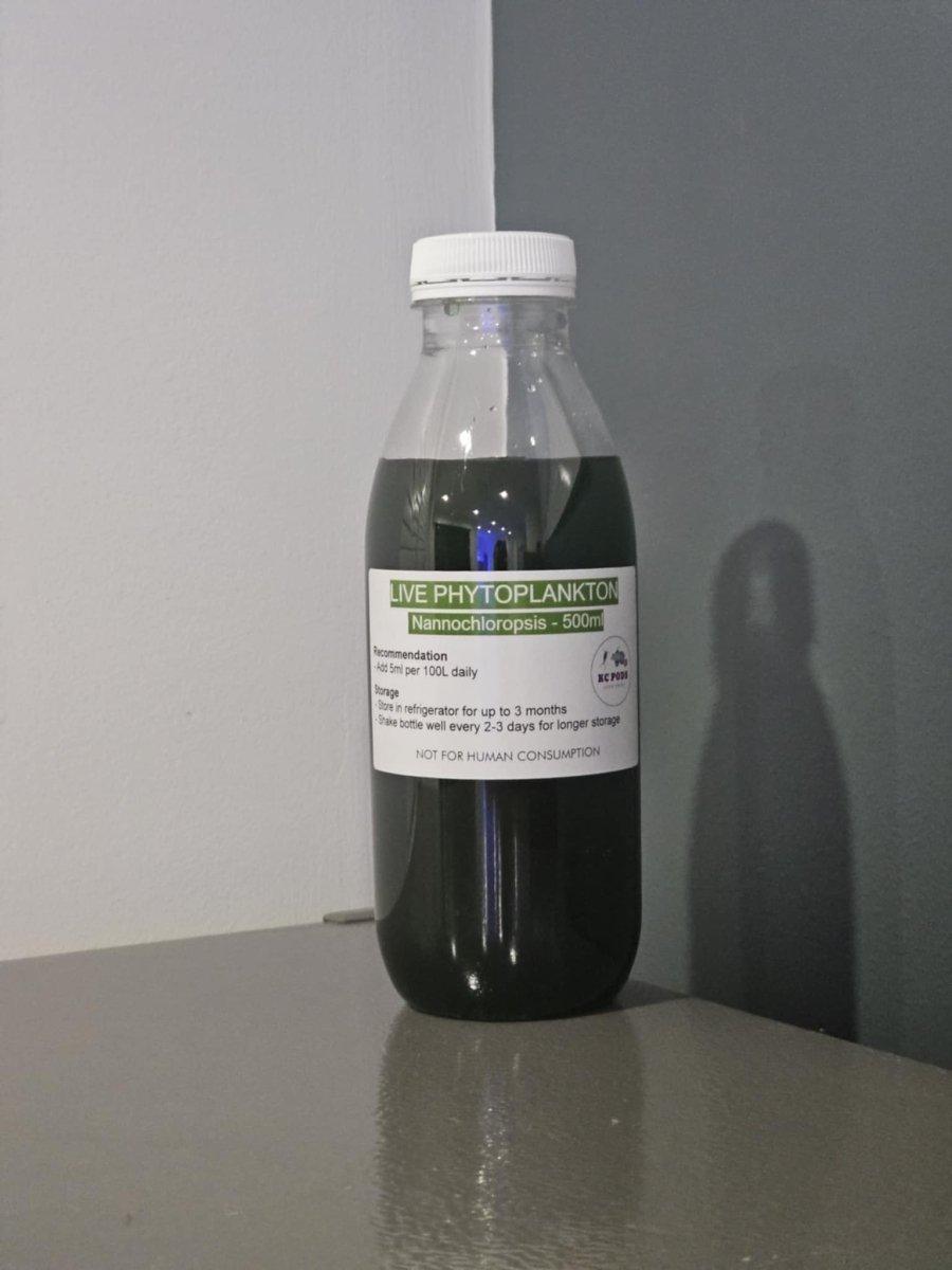 500ml Live Phytoplankton - Aquamarine Aquaristic - 