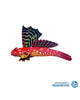 Ruby Red Dragonet (Synchiropus sycorax)