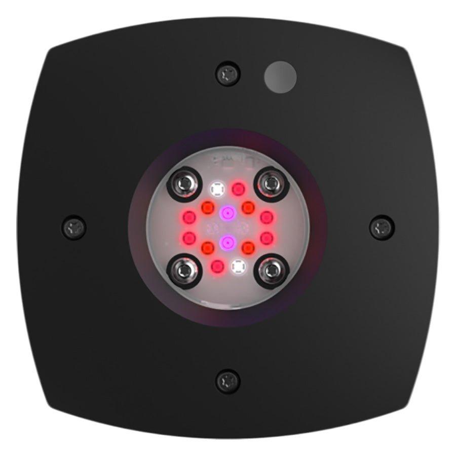 Aqua Illumination Prime 16 Fuge LED Light Black - Aquamarine Aquaristic - 