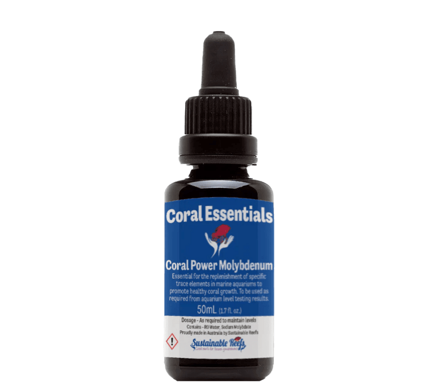 Coral Essentials Coral Power Molybdenum - Aquamarine Aquaristic - 
