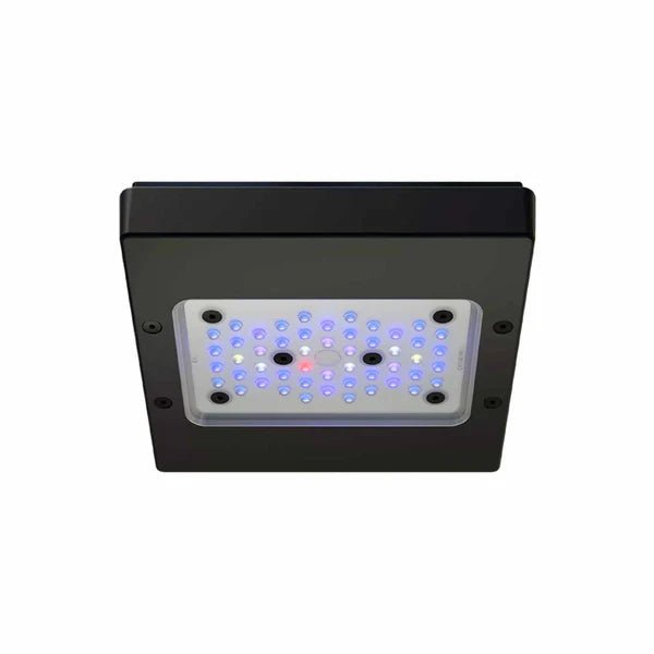 EcoTech Marine Radion XR15 Gen 6 Blue LED reef aquarium light with HEI2 optics, enhanced UV LEDs, wireless Mobius control, and coral fluorescence spectrum.