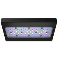 Ecotech Radion XR30 Gen 6 Blue Light
