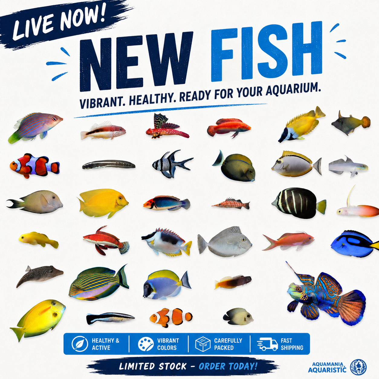 New Fish Uploaded!