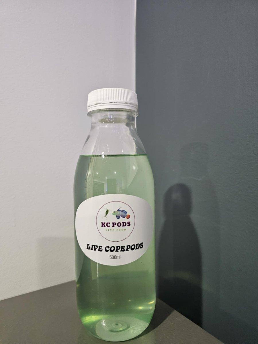 Live Copepods 500ml - Aquamarine Aquaristic - 