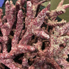 Real Reef Branch Rock - Per kg