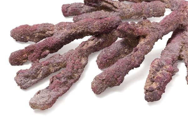Caribsea Branch Rock - Per Kg