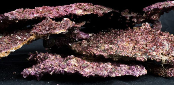 Real Reef Shelf Rock - Per kg
