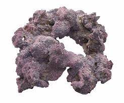 Caribsea Shape Rock - Per Kg